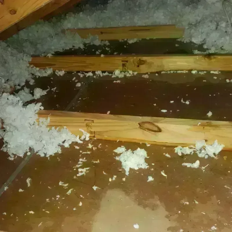 Attic Water Damage in Pondera County, MT